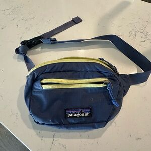 Patagonia Blue and Yellow Bag